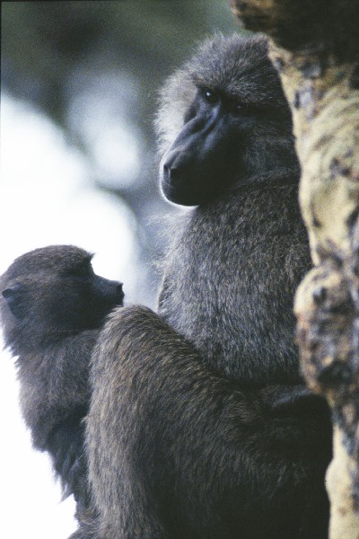 Mother and child 
