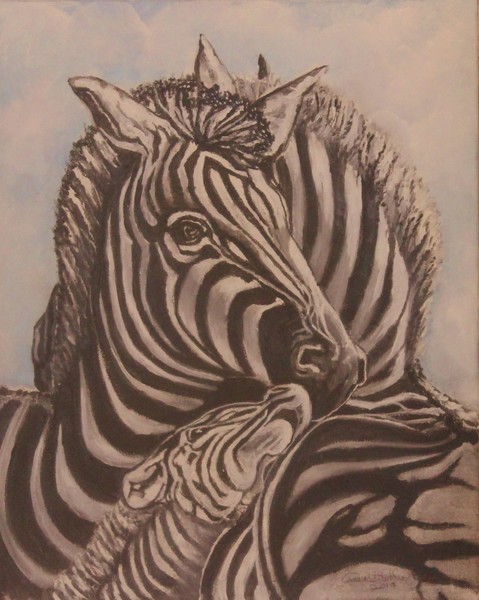 Zebra Family