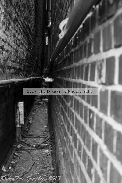 Hidden Alley