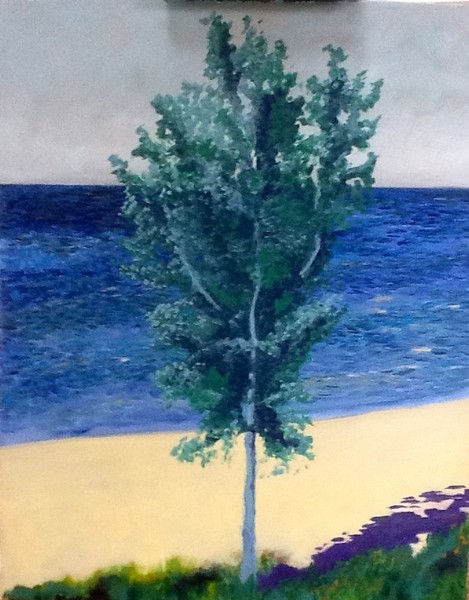 Saugatuck 