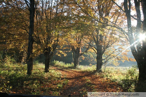 Fall Morning In Vermont-2