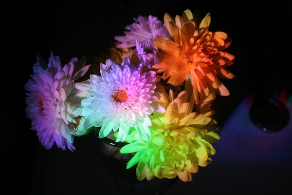 HAPPY BIRTHDAY MARIE-CLAIRE-2