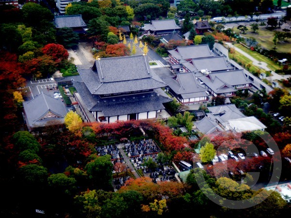 Zojoji temple in Tokyo