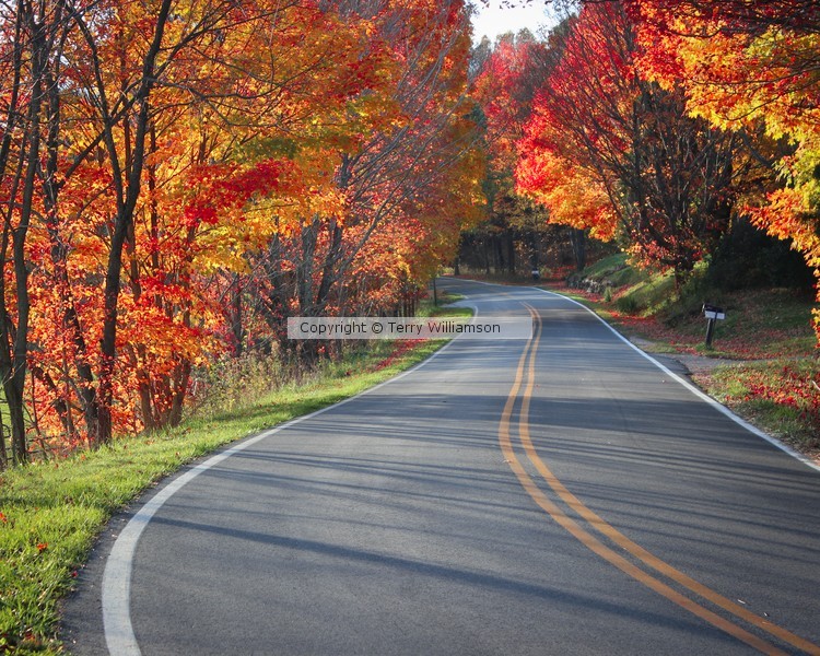Autum Road