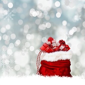 christmas (36)