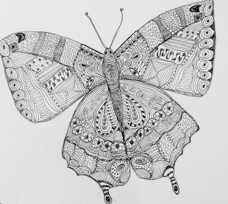 Filagree butterfly