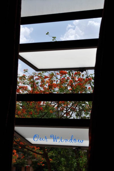 Our Window