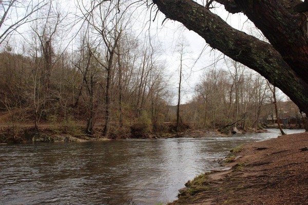 By the Stream