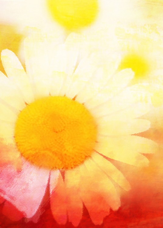 Abstract Daisy LARGE