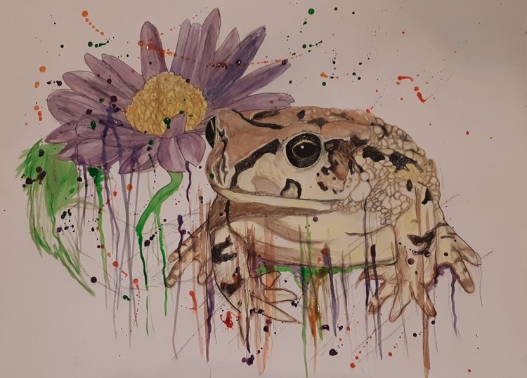 Mr. Toad