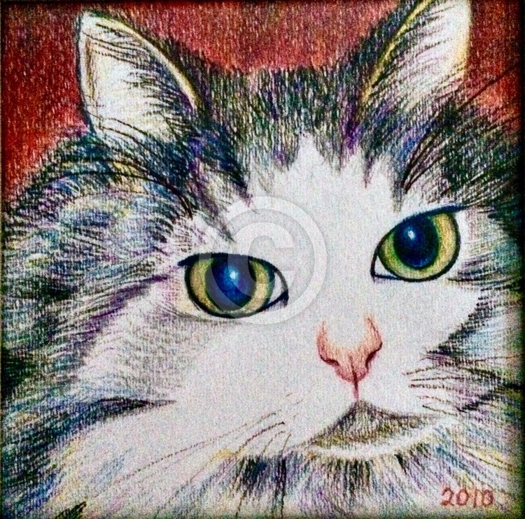 Colored pencil 