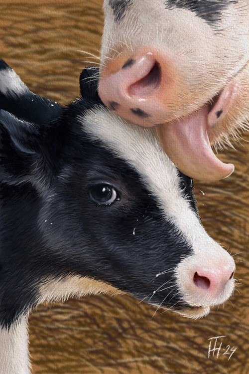 the First Day of Life