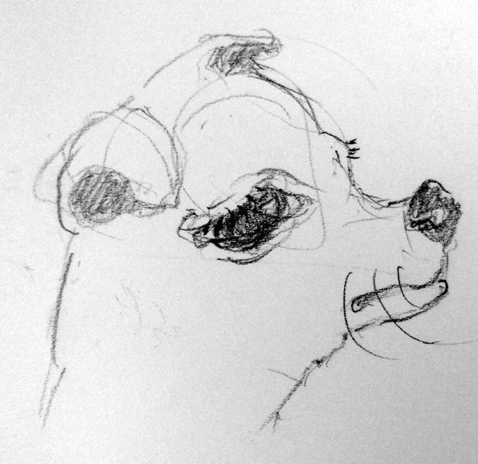 Winky Caricature