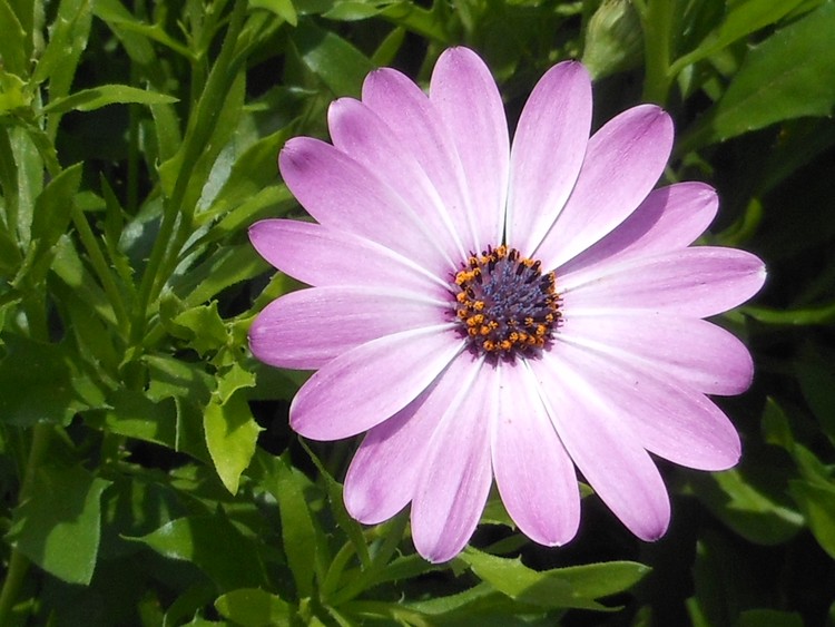 RSCN1065