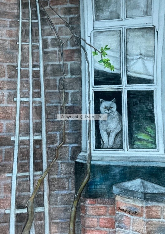 Cat at the Window