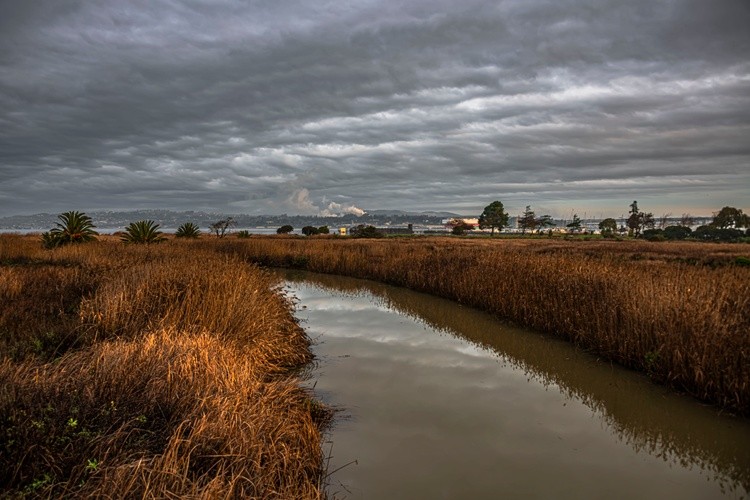 Alhambra Creek -  January 02 2026