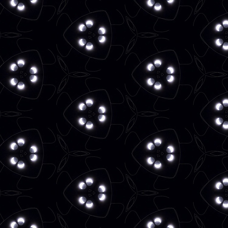 1000010118