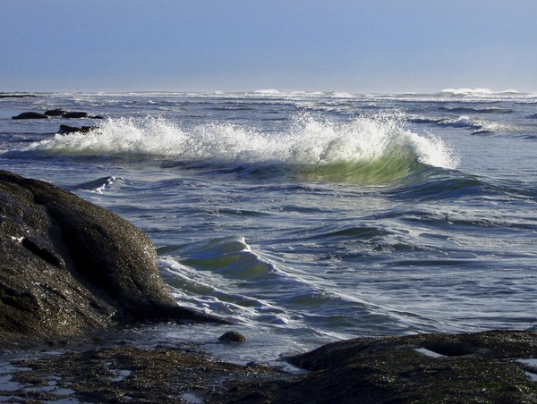 Sunday Splashes