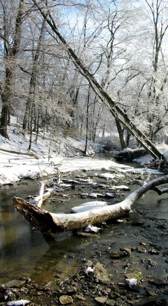 Snowy Stream