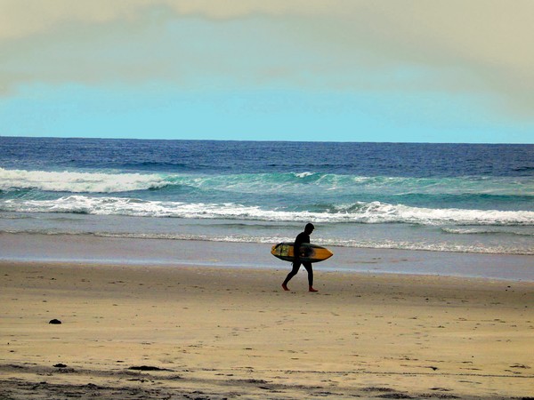 Surfer