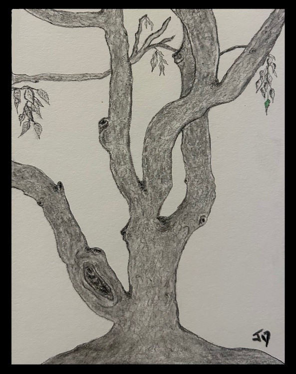 The Tree 223