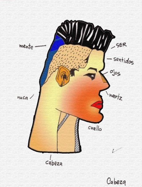 Cabeza
