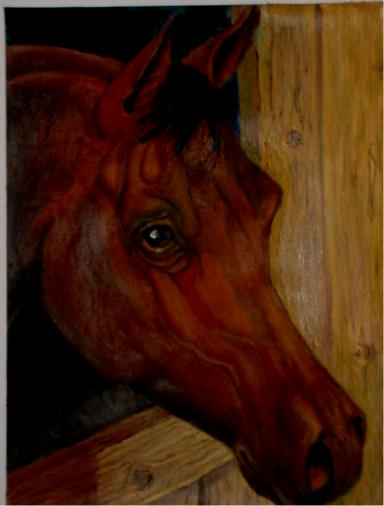 horse1