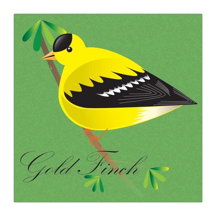 Gold Finch copy