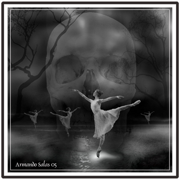 LAKE OF SWANS