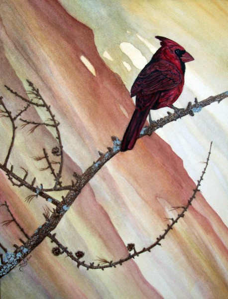 Tamarack Red