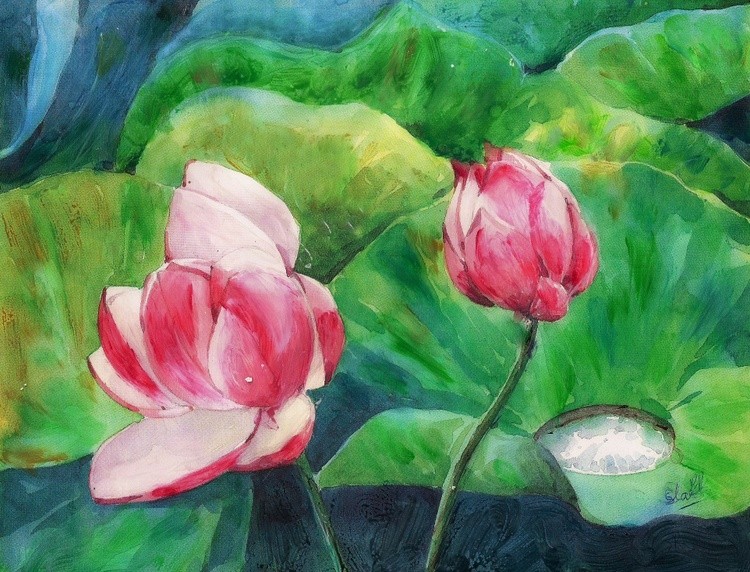 Lotus