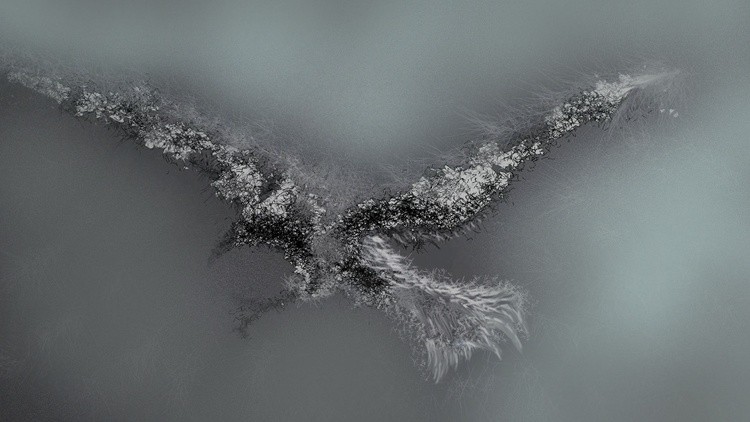 the albatross a new meaning