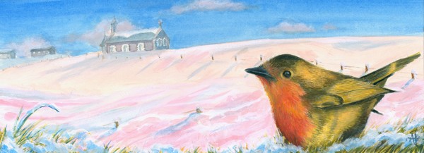 Robin