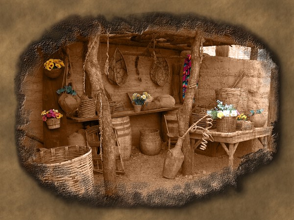 Flowers In The Old West