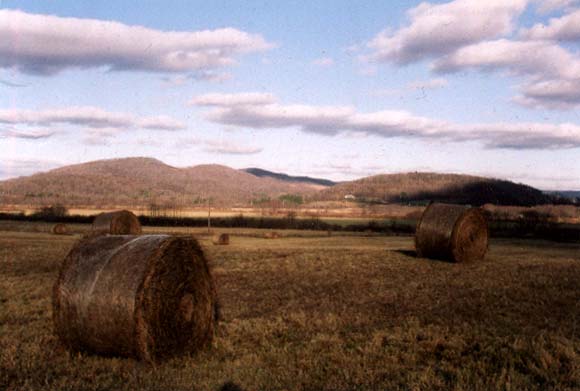 Hay harvest in Northern PA