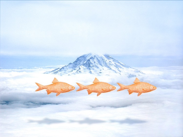Three Fish Swim Past Mount Rainier