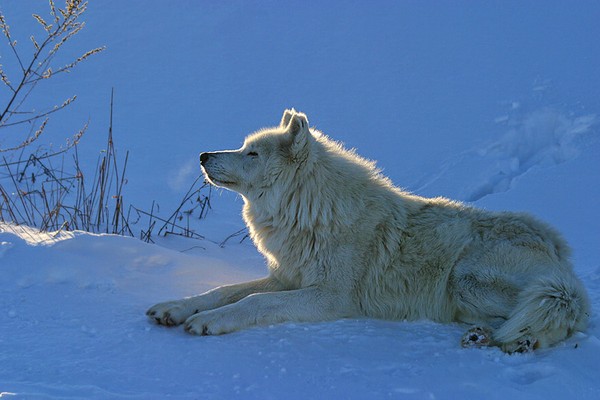 Basking in the Sun on a Cold Winter Day