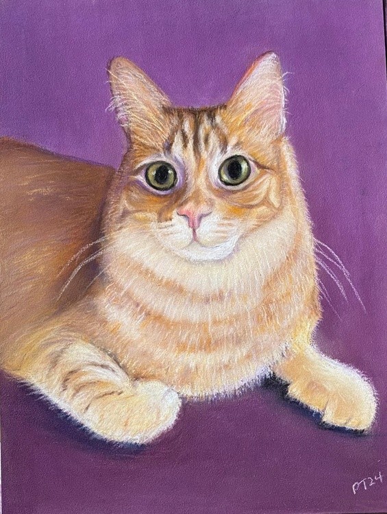 Simba Belle