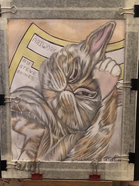Cat grooming colour