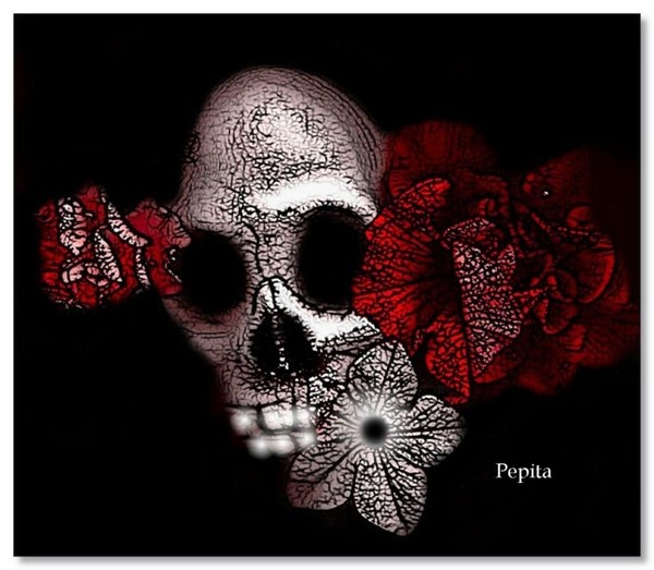 Real Flowers and a Skull