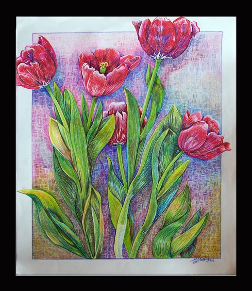 Tulips with love