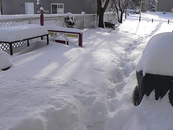 Tons of Snow