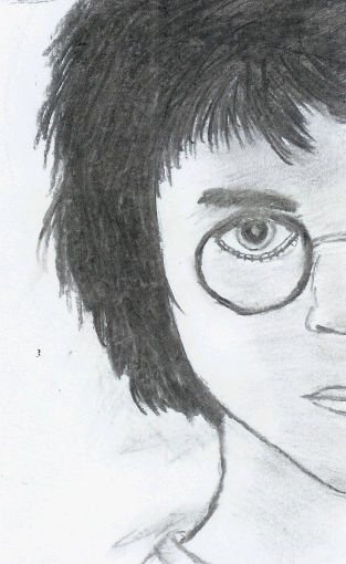 Harry (Hairy) Potter