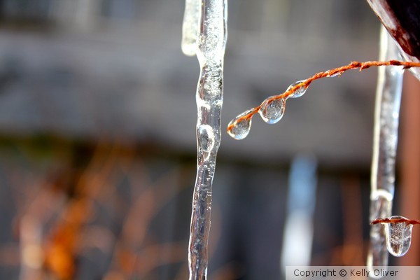 Frozen in Time