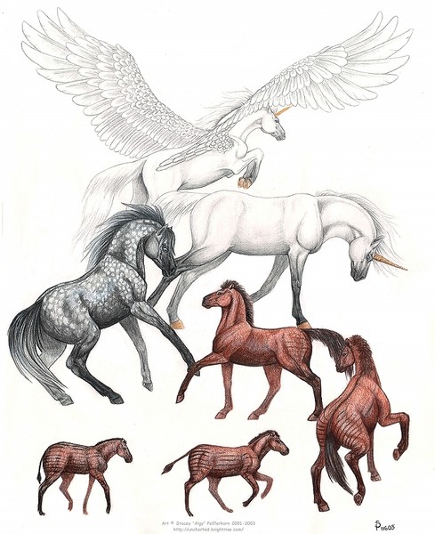 Evolutionary Mythology