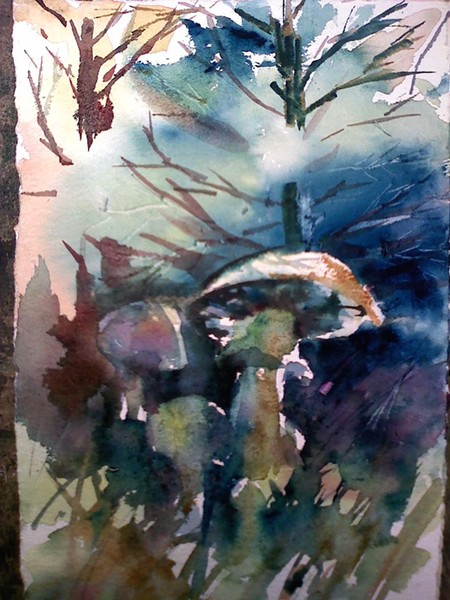 mushrooms and pine