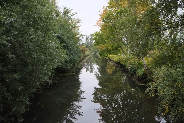 late summer