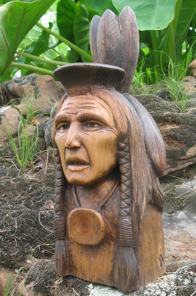 Kicking Bird