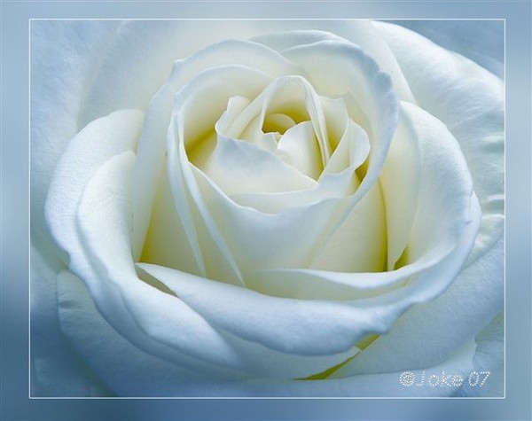 Have all a beautiful and sunny weekend