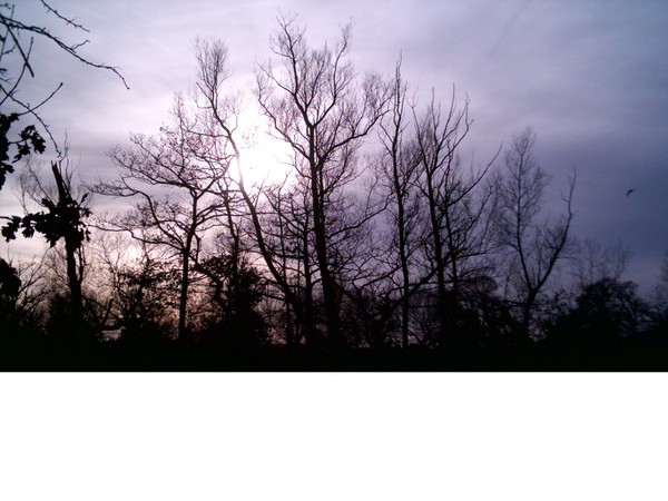 Winter Sun